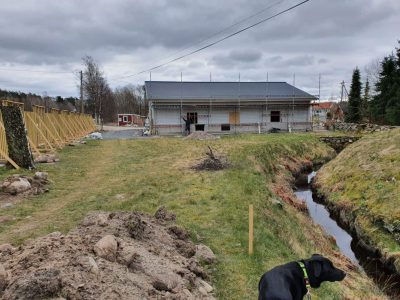 Baksida_gräsmatta före renovering